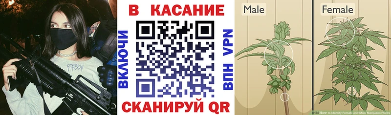 Купить закладку Нерюнгри ГАШИШ  Кокаин  Псилоцибиновые грибы  Конопля  Меф 