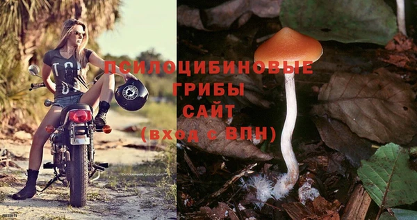 гидропоника Киселёвск