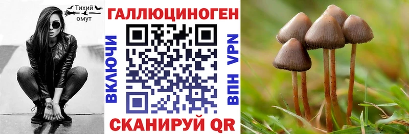 Псилоцибиновые грибы Cubensis  наркошоп  Нерюнгри 