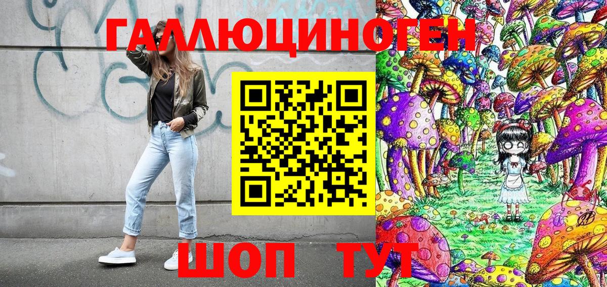 Нерюнгри  Псилоцибиновые грибы GOLDEN TEACHER  Вход с VPN  Псилоцибиновые грибы прущие грибы 