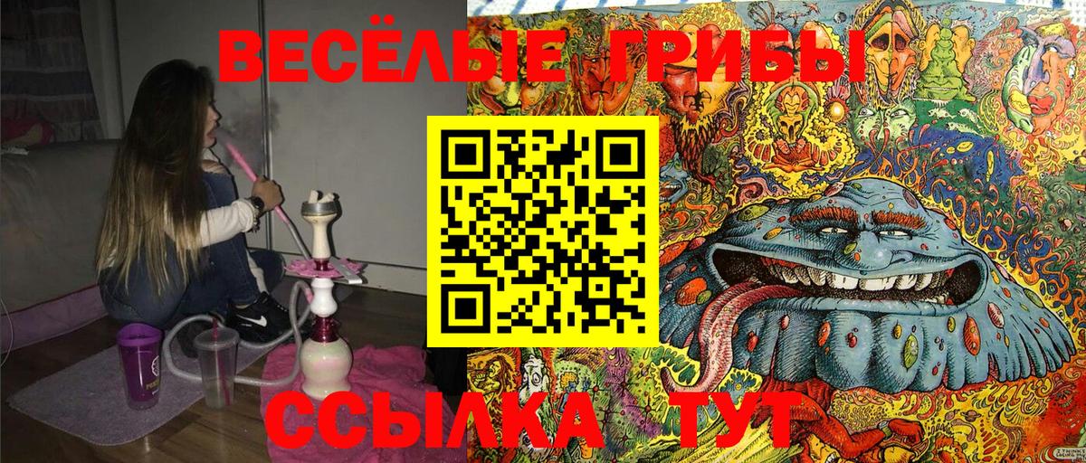 Псилоцибиновые грибы Psilocybe  Нерюнгри 