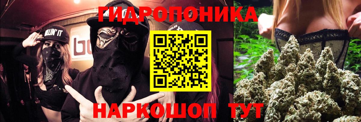 Марихуана Bruce Banner  Конопля марихуана  Конопля Bruce Banner  Нерюнгри  Канабис план 